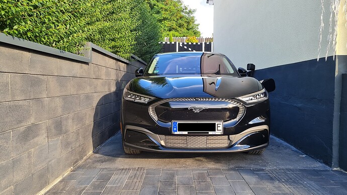 Finales Mustang Bild.jpg
