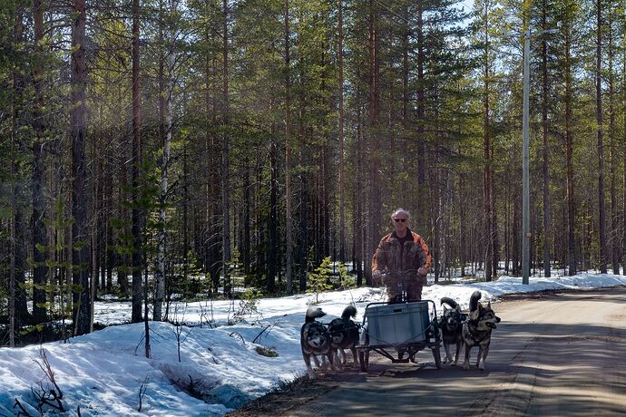 finnland (2 von 5).jpg