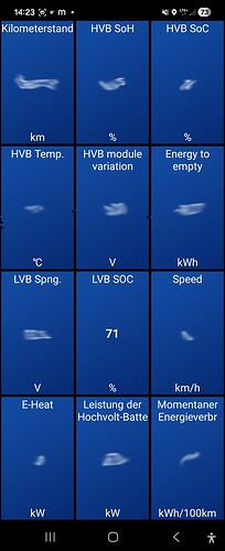 Screenshot20251114142308Car Scanner.jpg