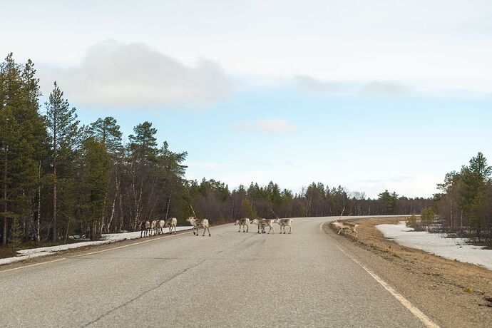 finnland-letzte (3 von 8).jpg