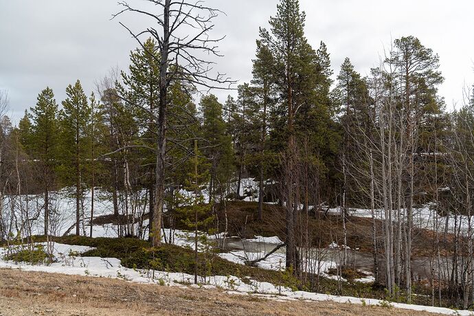 finnland-letzte (2 von 8).jpg